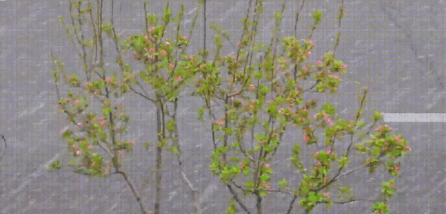 67e60ce5b474f.gif