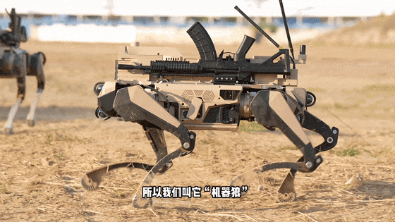 68ba164946796.gif