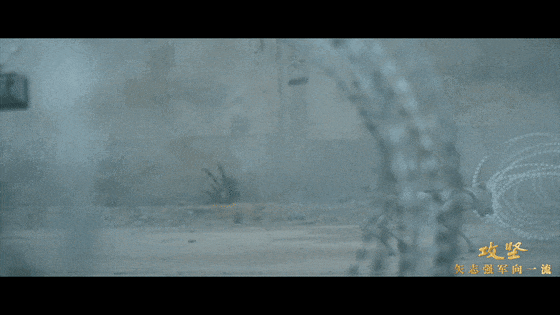 68ba16568d69a.gif