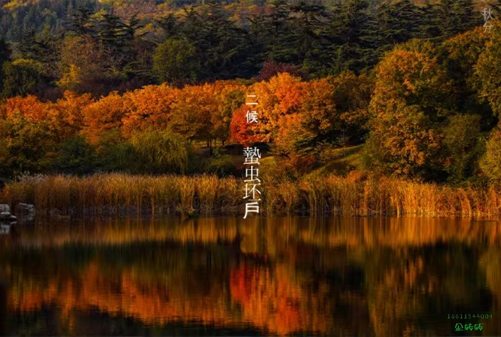 68d13f82be224.png