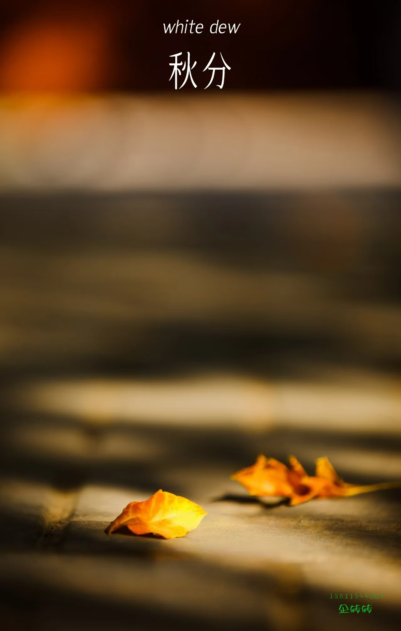 68d13fcb535f2.png